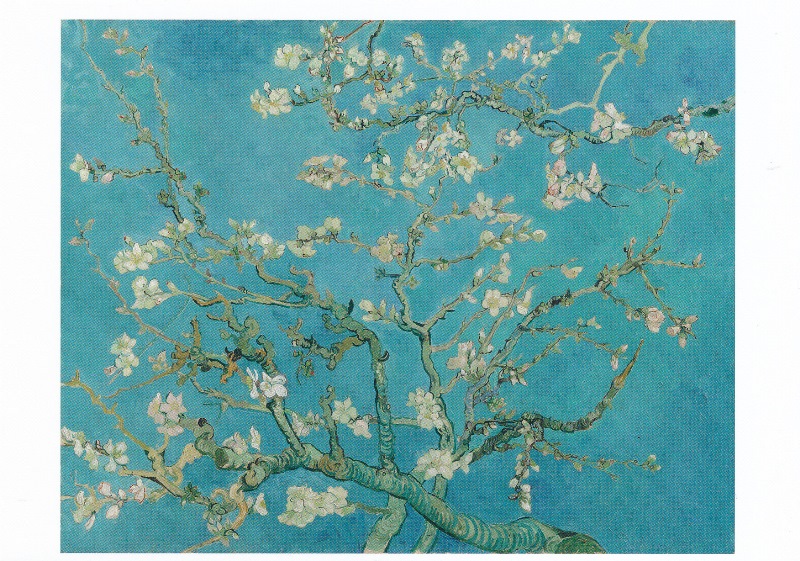 Holland Tourism Van Gogh Museum Cultural and Creative Commemorative Gifts Boutique Postcards in Blooming Apricot Flowers