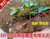 Lotus pond mud bowl lotus water lily special Mud River Pond mud bowl lotus planting nutrient soil silt aquatic flower bowl lotus flower soil