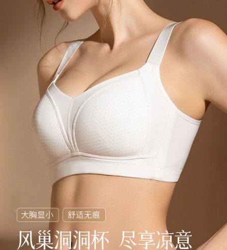 Wire-Free Thin Bra for Large Busts That Makes Them Look Smaller, Full Cup 75C75E80D85H90B95F100D Push-Up Bra