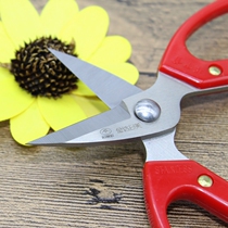 Golden Da Japan Beauty Home Stainless Steel Small Number Scissors Nail Clippers