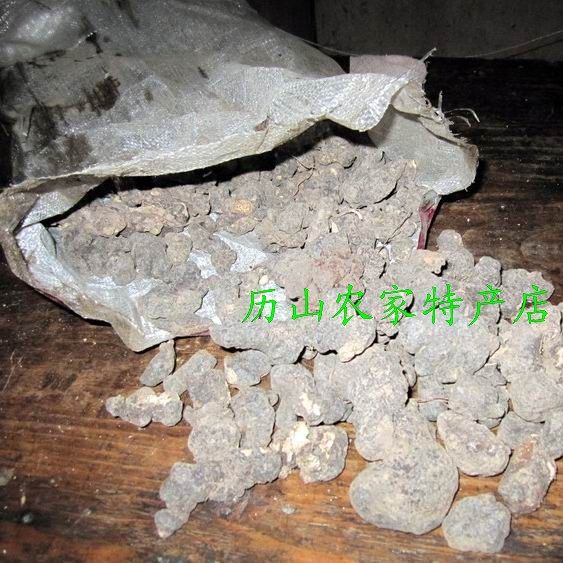 Deep mountain self-digging wild pig poria pig shit ling Pig poria mushroom pig ganoderma lucidum origin direct sales 50g