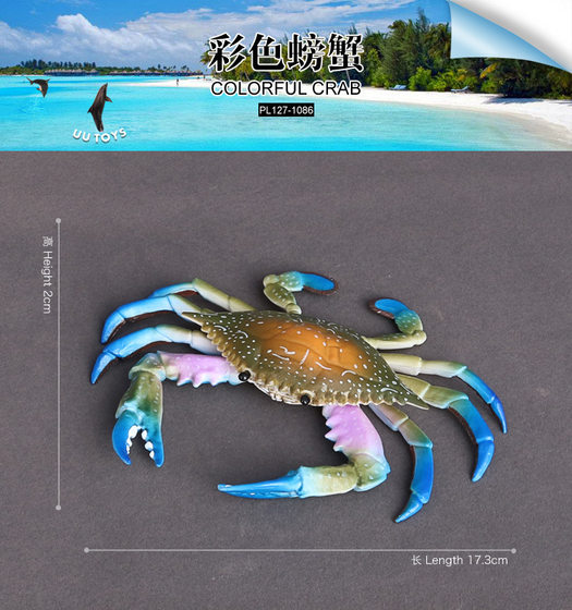 Children's Toy Realistic Sea Animal Crab Australian Lobster Model Plastic Ornament Large King Crab Deep Sea Yellow