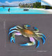 Children's Toy Realistic Sea Animal Crab Australian Lobster Model Plastic Ornament Large King Crab Deep Sea Yellow