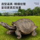 Children's Toy Solid Tortoise Realistic Animal Model Wild Animal Figurine Giant Tortoise Radiation Turtle Educational Gift