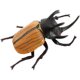 Simulated Animal Model Insect, Beetle, Unicorn Beetle, Ladybug, Children's Toy, Baby Cognitive Early Education