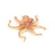 Octopus Children's Toy Realistic Animal Model Octopus Sea Creature Ocean Monster Kids Science Education Cognition