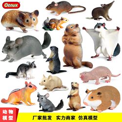 Children's Toys Simulated Real Wild Animal Model Rat Big Flying Squirrel Guinea Pig Marmot Cognitive Trick Ornaments