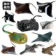 Simulated Marine Animal Model Children's Cognitive Toys: Big Manta Ray, Stingray, Batfish, Boss Fish, Yao Fish