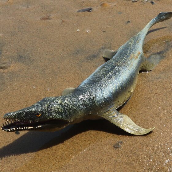 Simulated Dinosaur Model Ornaments, Solid Marine Animals, Soft Dragon, Sliding Toothed Dragon, Mosasaurus, Overlord Dinosaur Toy Figure