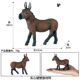 Children's Toy Solid Realistic Wild Animal World Donkey Model Donkey Livestock Poultry Farm Donkey Ornament