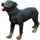 Children's Toy Animal Model German Shepherd Doll Boy Big Wolf Dog Plastic Simulation Dog Ornament Casro Dog Figurine