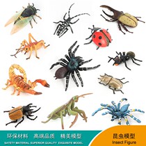 Childrens toy simulation animal insect model Bee mosquito unicorn butterfly grasshopper cricket praying mantis insect