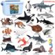 Children's Toys Solid Realistic Marine Life Model Great White Shark Megalodon Whale Shark Tiger Shark Blue Whale Figurine