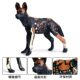 Simulated Wild Animal Model Solid African Wild Dog Earthwolf Hunting Dog Model Kidsren's Plastic Toy Cognitive Ornaments