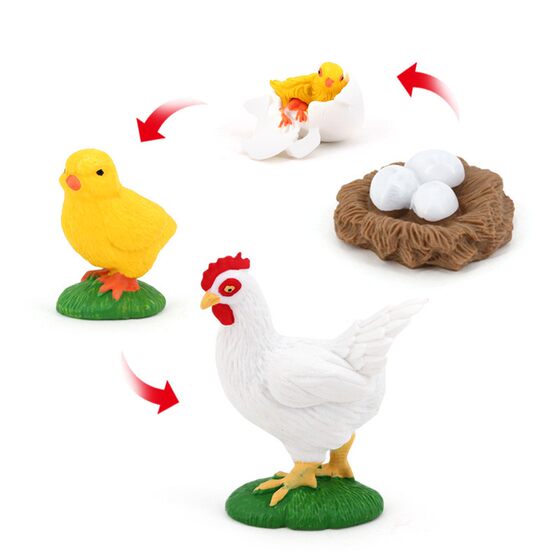 Children's Educational Cognitive Toys, Simulated Farm Animal Models, Hen Growth Cycle, Growth Process, Boy's Gift