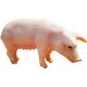 Children's Toys, Simulated Animal Models, Domestic Pigs, Piglets, Family Farm Ornaments, Play House, Micro-Landscape Garden Decoration