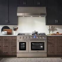 American Raytheon thorekitchen open kitchen stainless steel Skygas 48-inch integrated oven