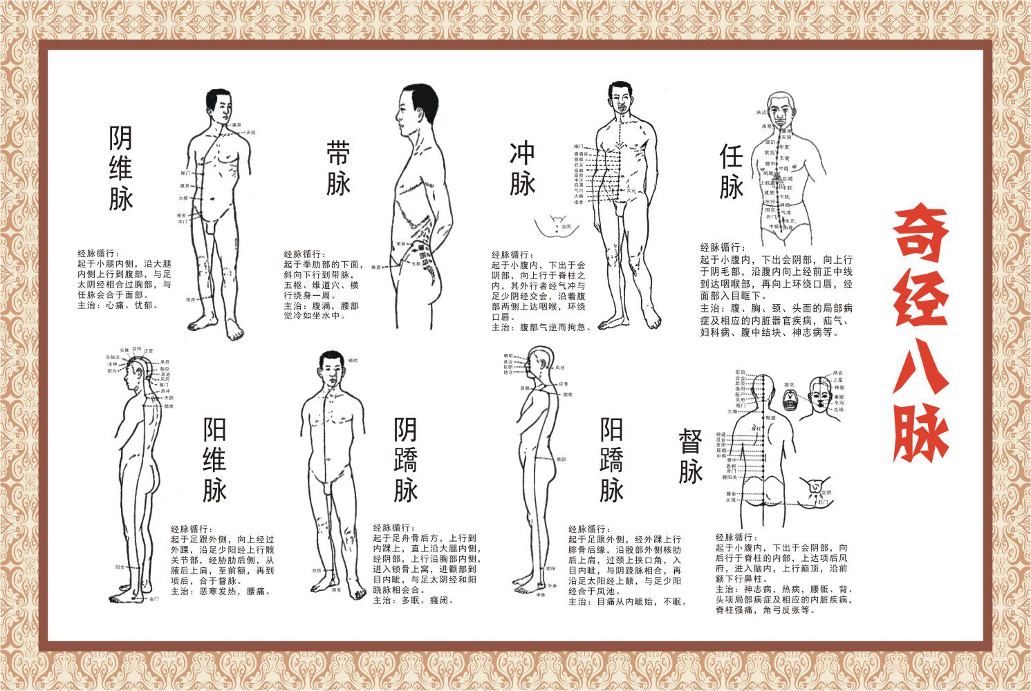 中医人体经络穴位图14 奇经八脉 写真背胶海报覆膜防水多图任选