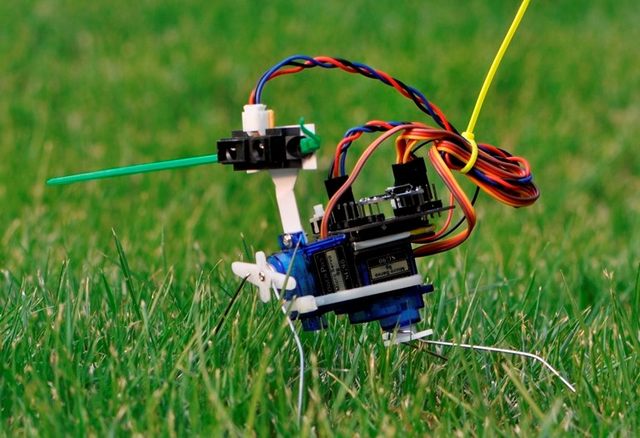 arduino insect robot