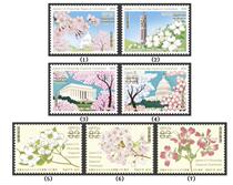 Japan Credit Sales Stamp-Sakura Gift to the United States 100-Credit 7 Full-C2210-Sakura White House