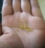 Перекрестные шарики просо, серебро, золотой рисовый бусин золотисто -желтый, около 2 мм, 1 упаковка 450 грамм