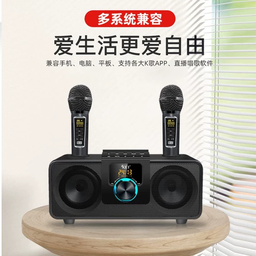 Колонки, беспроводной микрофон, мобильный телефон, ноутбук, караоке, bluetooth, звуковые эффекты, электрические сигналы мозга