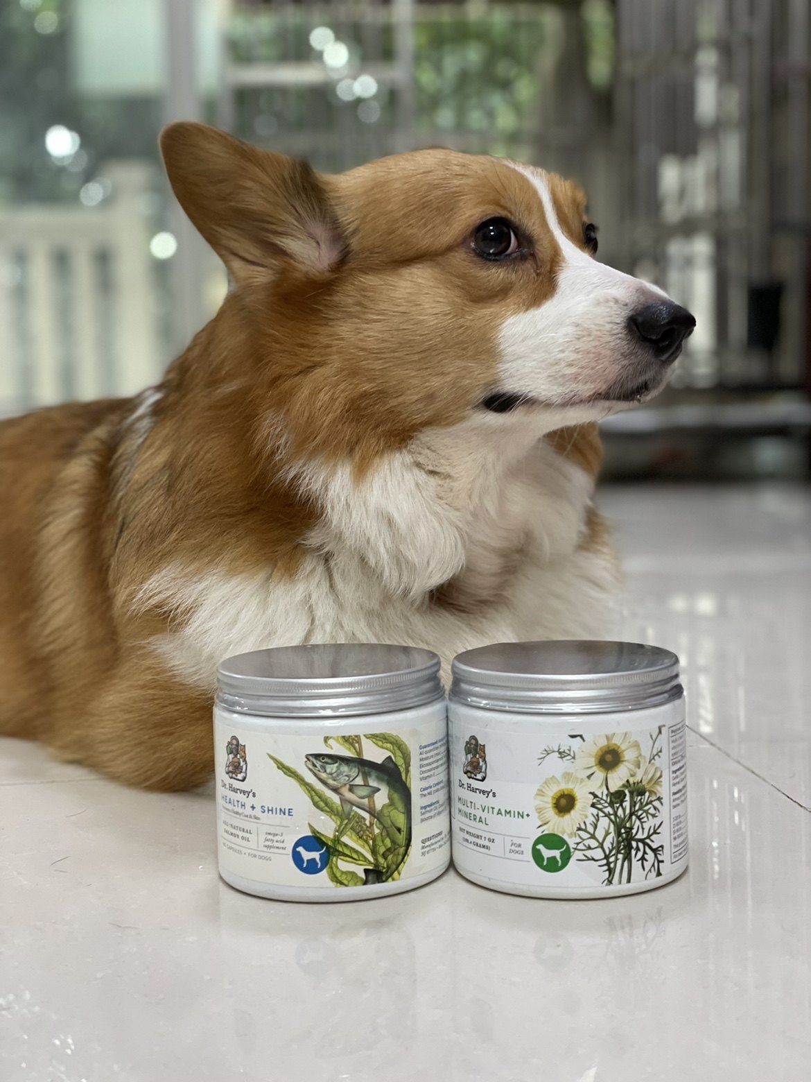 Spot American Dr. Harveys Dr. Harvey Herbal Soothing Formula Multivitamin-For Dogs 7oz