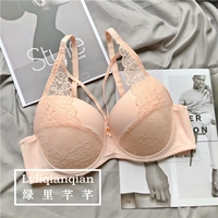 Вентилятор креветок [одиночный дренаж]