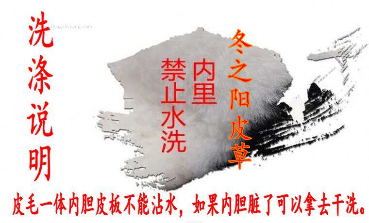 Blouson chaud pour homme   OTHER - Ref 3113155 Image 19