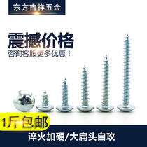 Hardened large flat head self-tapping screw big cap Big Head self-tapping nail pointed tail flat round head wood screw M3M4M5M6