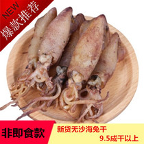 Sand-free sea hare dried goods Whole dried sea hare small squid dried seedless cuttlefish pen tube dried fish squid 1 kg