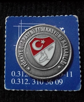 Winter Olympics badge Turkish Winter Olympics delegation badge Turkish skating team badge