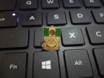 Olympic Games Badge Nigeria Delegation Olympic Committee Badge Nigeria NOC Badge