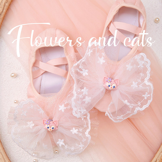 FlowersandCats spring and summer pink dance soft bottom girls performing exercises ballet dance shoes children