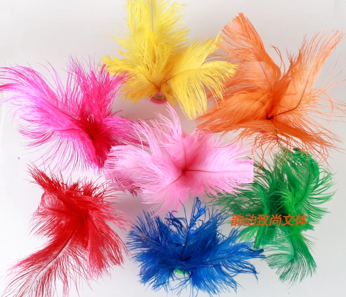 Con đà điểu lông màu bọ cạp lông vũ bụi bặm lông bọ cạp trò chơi croquet tóc mềm - Các môn thể thao cầu lông / Diabolo / dân gian cầu đá rẻ nhất