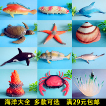 Mollusk Marine Animal Model Great White Shark Lobster Crab Shell Penguin Sea Seal Sea Biological Toy