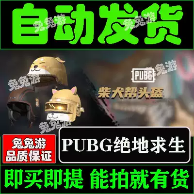 PUBG Jedi survival package cdk firewood dog help helmet level 3 single Piece 3 permanent exchange code