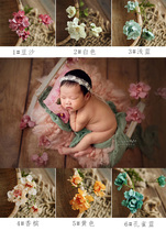 Vintage hollyhock flower low saturation simulation flower photo decoration plant eggplant newborn photography props