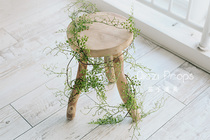 Forest winding leaflet vine simulation flower green plant fern plant landscaping ~ eggplant newborn photography props