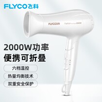 Flying Co Hair Dryer Womens Home With Silent Unhurt Power Generation Blow Men Special High Power Folding Blow Cylinder FH6232
