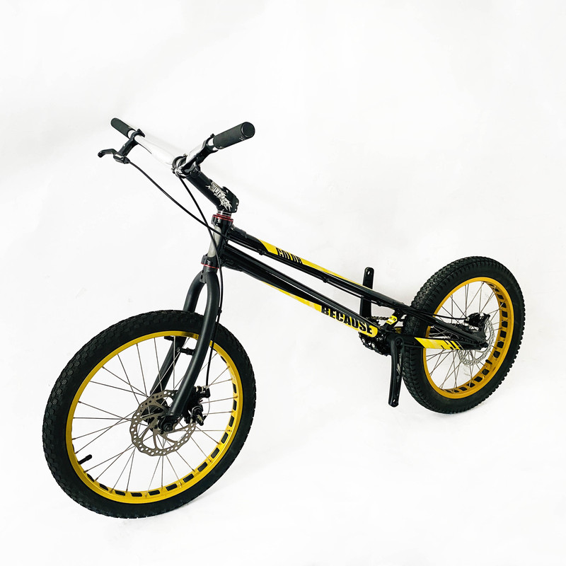 Because - 20inch Front and Rear Disc Brake Climbing Bike, Street Climbing Extreme Stunt Obstacle Bike, Multi-Color Because - 20inch Front and Rear Disc Brake Climbing Bike, Street Climbing Extreme Stunt Obstacle Bike, Multi-Color