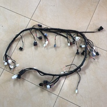 Treasure Carving Horizon Sports Car Assembly Line Guowei Petty Ninja Cable Main Line Motorcycle Wire Line Assembly