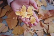 Leye Handmade stella Original Stereo Embroidered Ginkgo Material Package (Excluding Courses No)