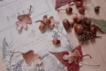 Le Ye Handmade stella Original Embroidered Acorn Brooch Material Package (Excluding Courses No)