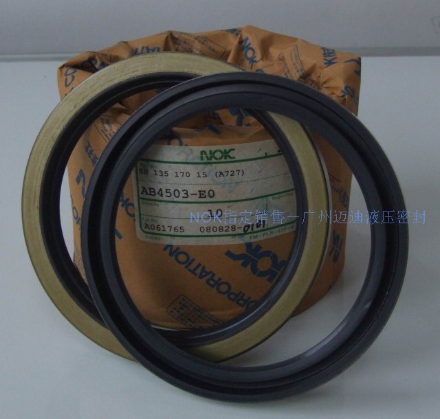 Japan NOK original skeleton Oil Seal: AB4503-EO SB2 135*170*15