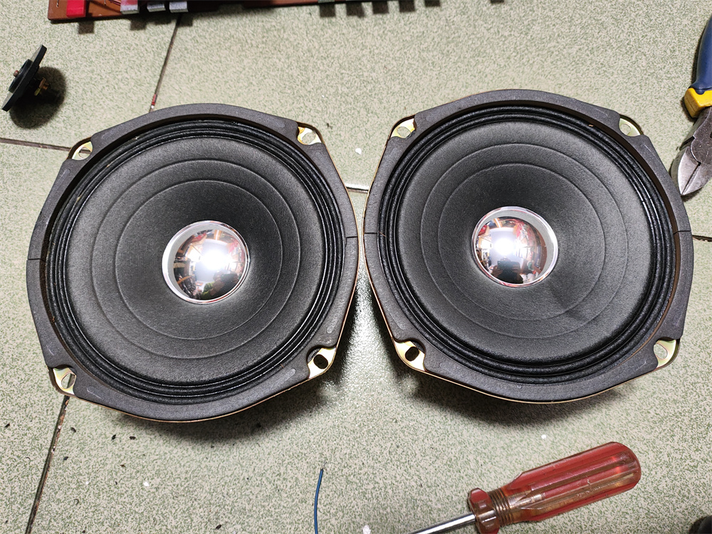 A pair of SEC 6 5-inch full-range speakers based on experience and judged by Foster OEM