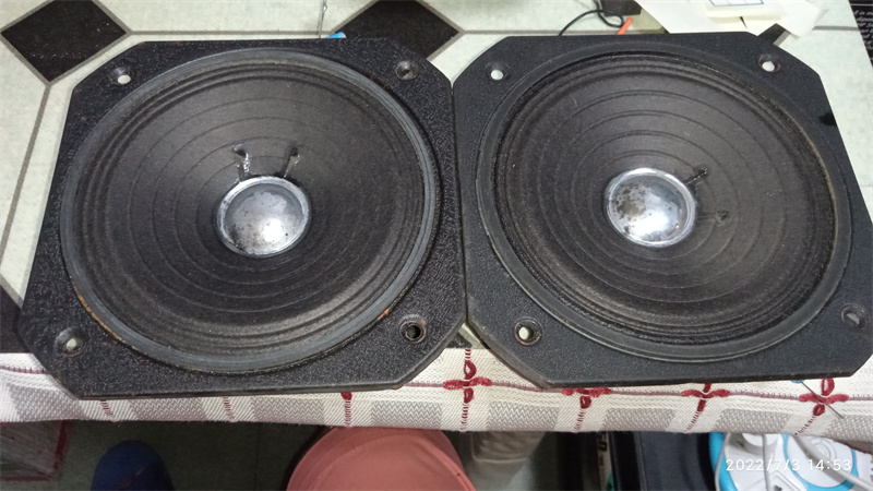 SEG 5 inch medium tone horn pair-Taobao