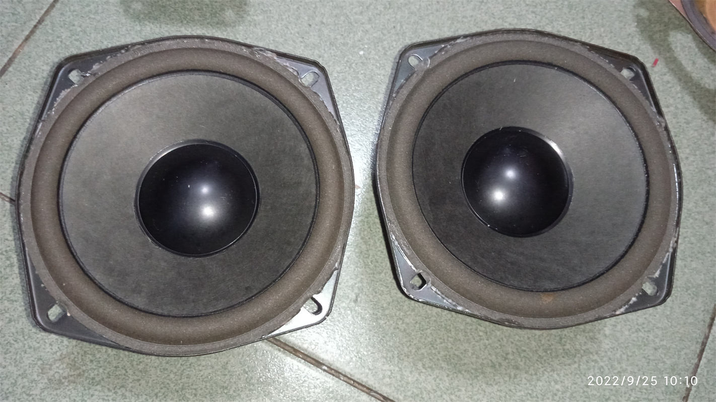 Philips Bass Horn PSS29756806 a pair of -Taobao