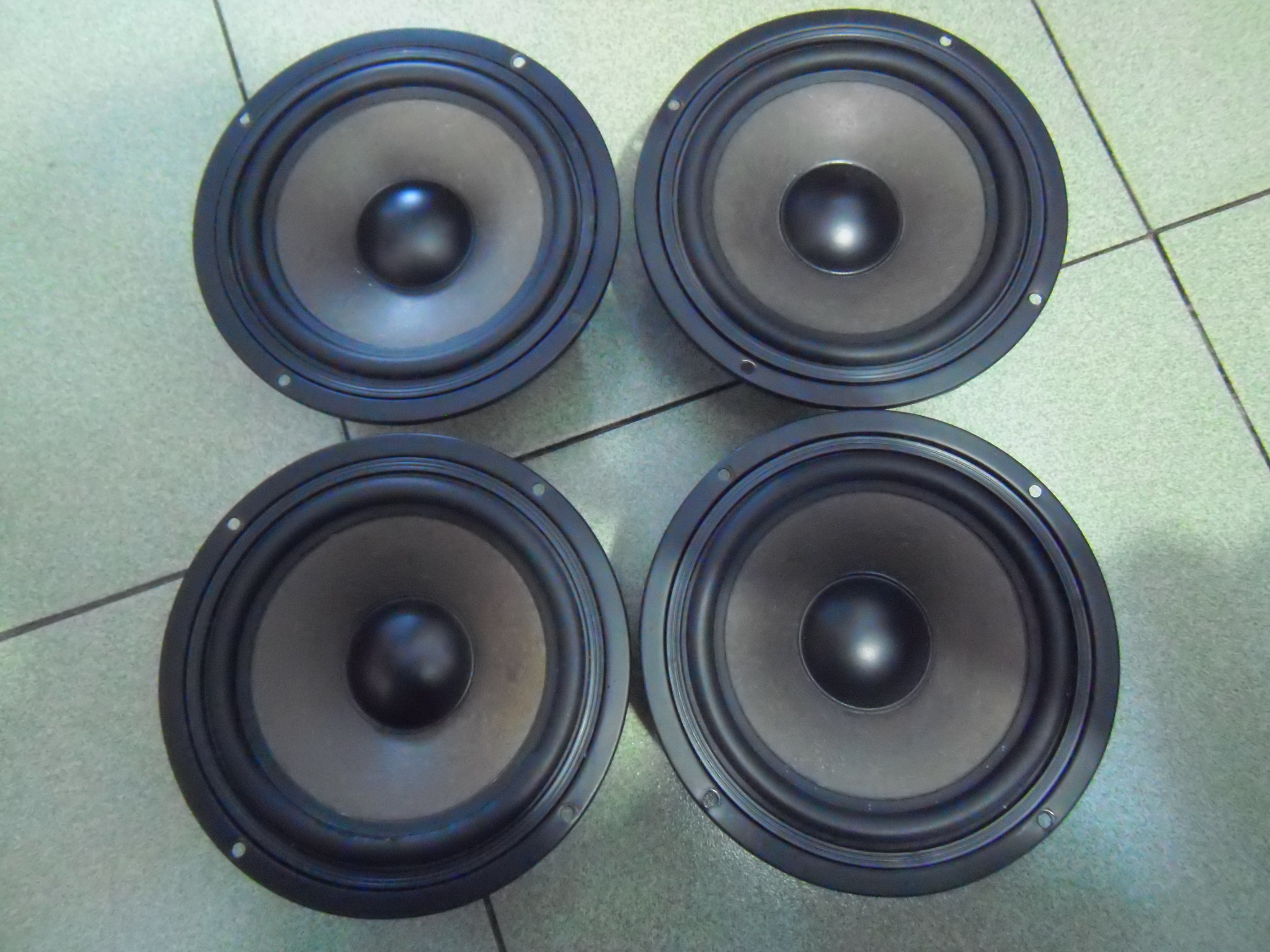 UNIQUE 6 5-inch horn pair-Taobao