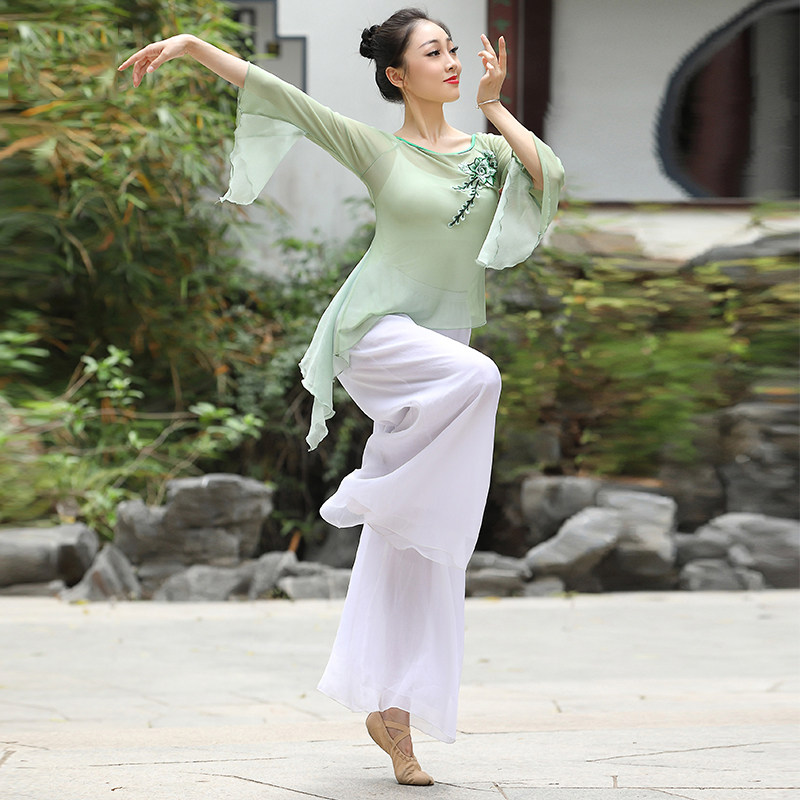 Chinese dance dance clothes summer new lotus leaf sleeve mesh tops practice clothes gauze elegant classical dance clothing women